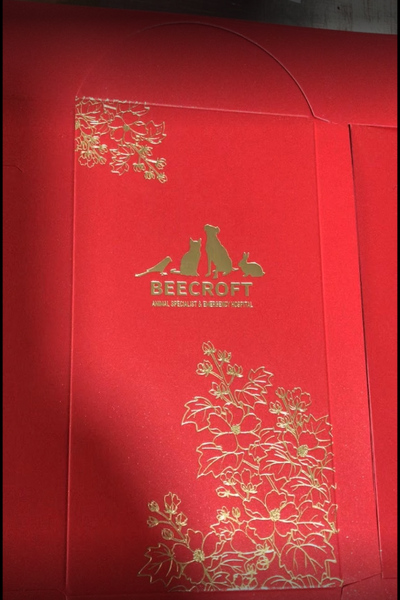 Corporate gifts Bulk With printing - Chinese New Year Red Packet Customised