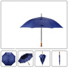 Load image into Gallery viewer, Double long handle umbrella enlarged