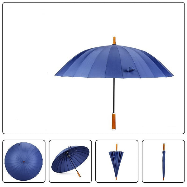 Double long handle umbrella enlarged