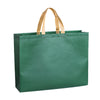 Load image into Gallery viewer, Non-woven shopping bag , bags corporate gifts , Apex Gift