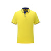 Unisex polo tee , shirt corporate gifts , Apex Gift