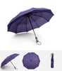 Load image into Gallery viewer, Folding  umbrella customized , Umbrella corporate gifts , Apex Gift