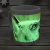 Ceramic night light cup , mug corporate gifts , Apex Gift