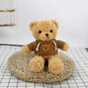 Load image into Gallery viewer, Retro sweater teddy bear doll , Plush Doll corporate gifts , Apex Gift