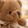 将图像加载到图库查看器中， Cute teddy bear toy , Plush Doll corporate gifts , Apex Gift