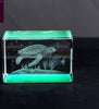 Muatkan imej ke dalam pemapar Galeri, 3D Customized crystal , 3D corporate gifts , Apex Gift