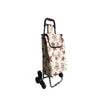 Load image into Gallery viewer, Shopping cart with stool , bag corporate gifts , Apex Gift