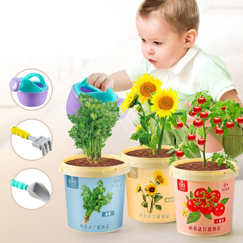 Small potted plants for children