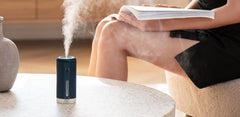 Small car humidifier ,  corporate gifts , Apex Gift