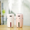 Load image into Gallery viewer, Mini night light humidifier , Humidifier corporate gifts , Apex Gift
