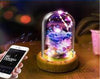 Load image into Gallery viewer, Dreamer Glass Dome Speaker , speaker corporate gifts , Apex Gift